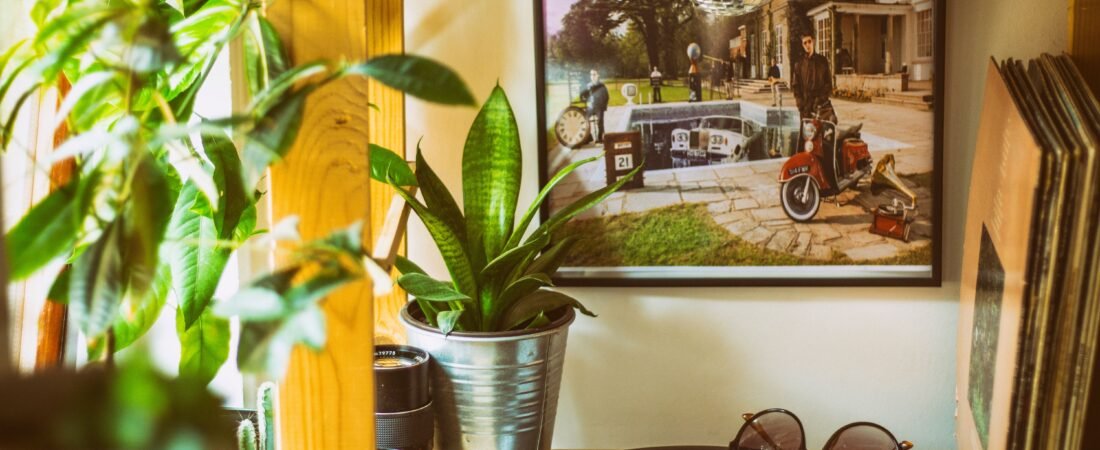 5 Stunning Living Room Decor Ideas to Make Your Space Cozy & Stylish