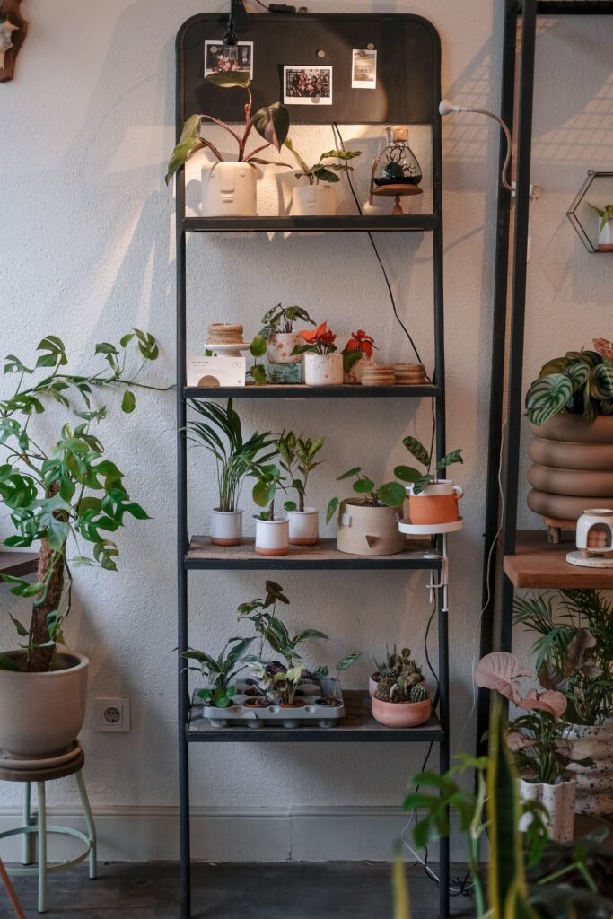 Plant stand with multiple potted plants
