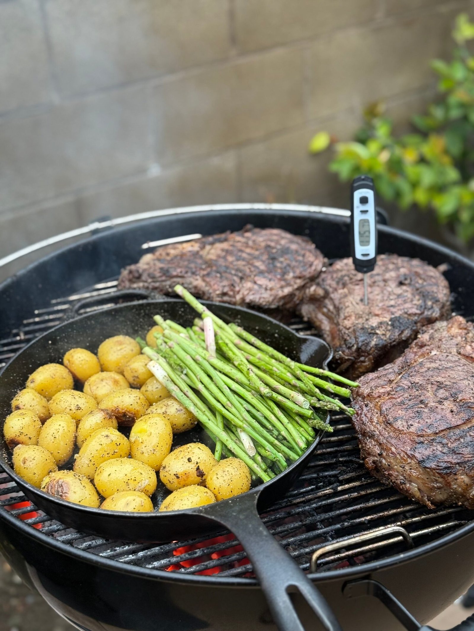 Meat thermometer checking the temperature of grilled meat